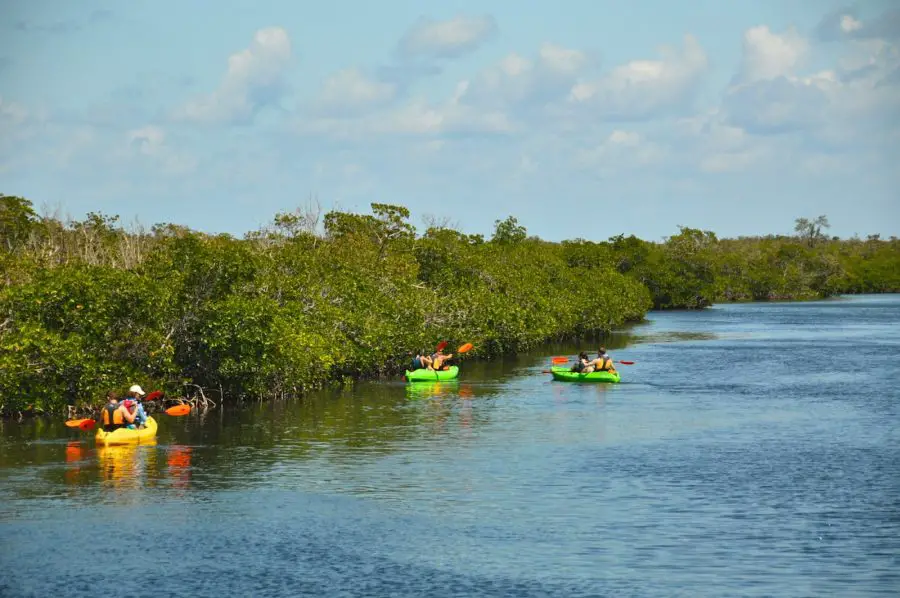 Kayaking in Florida