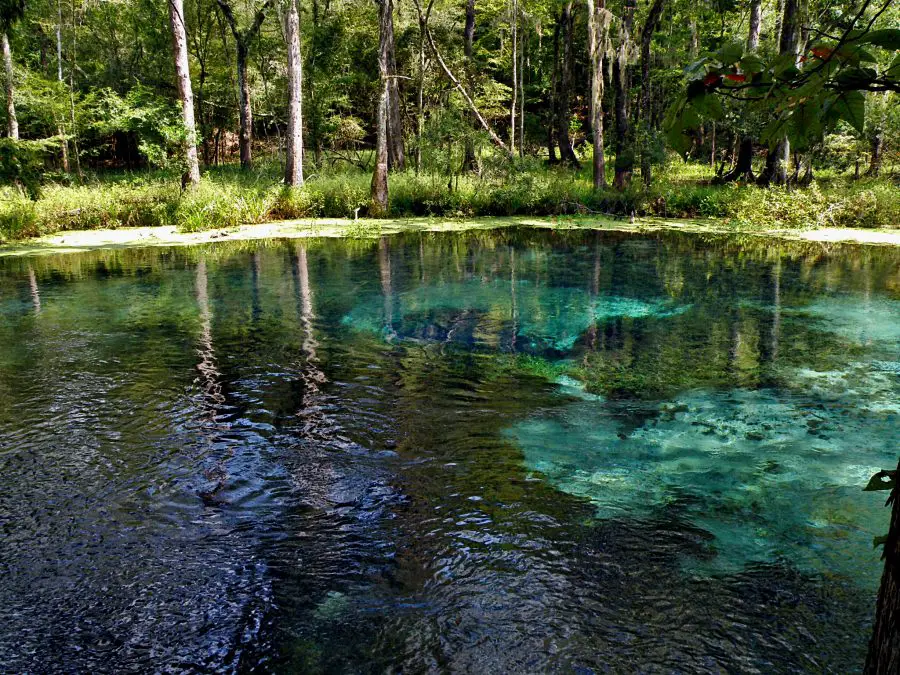 Kayaking in Florida