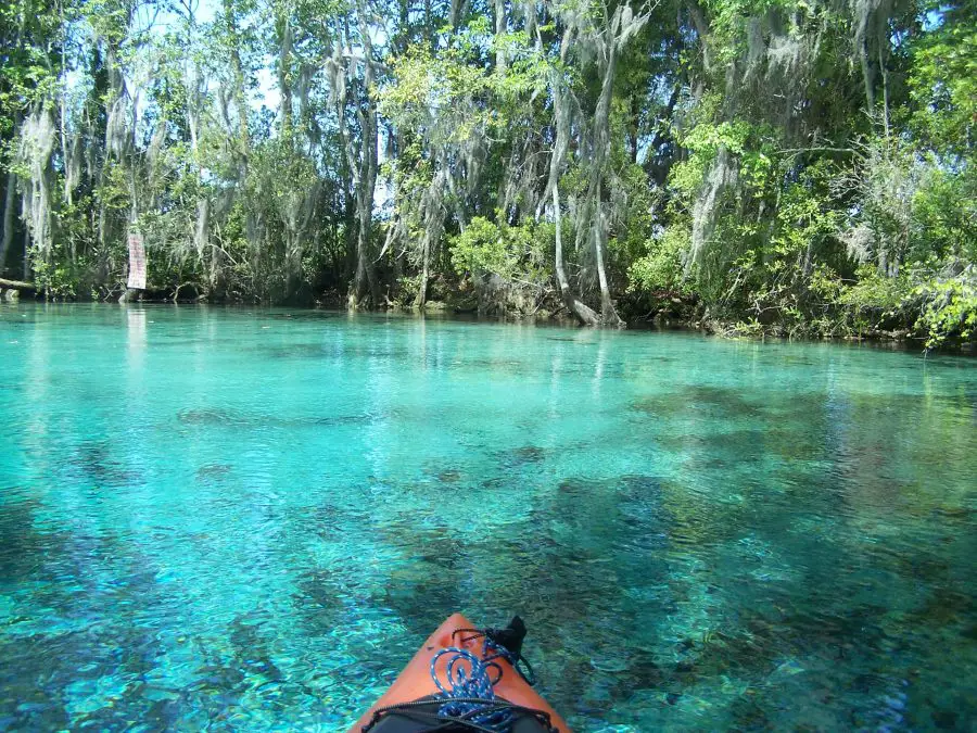 Kayaking in Florida