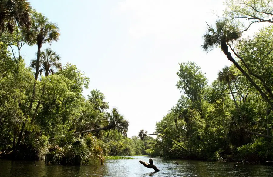 Kayaking in Florida