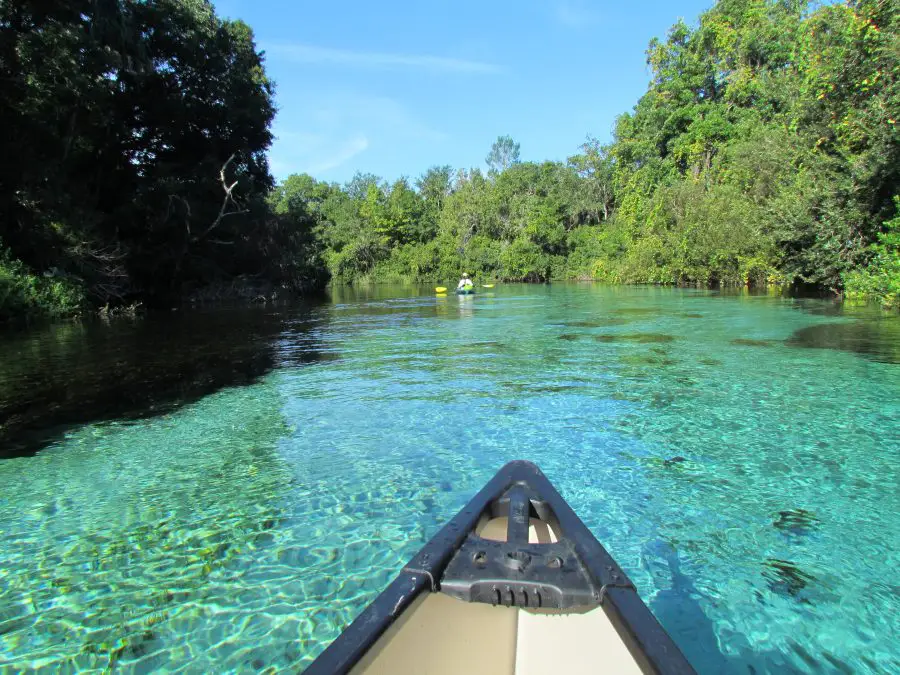 Kayaking in Florida