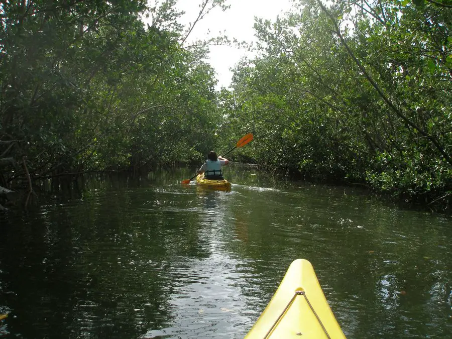 Kayaking in Florida