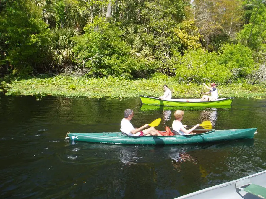 Kayaking in Florida