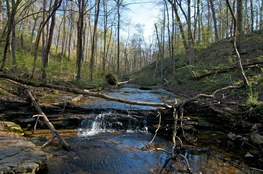 Kayaking in Indiana