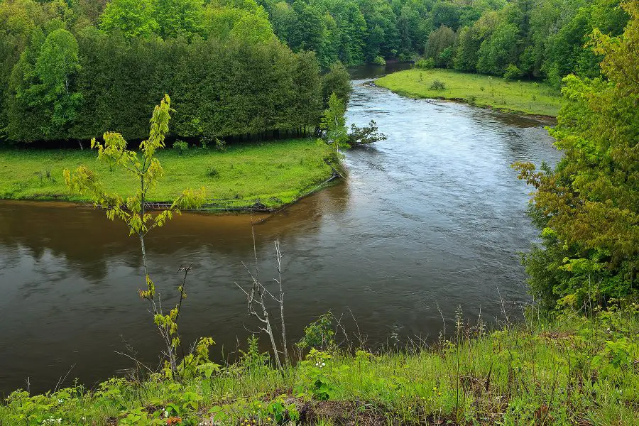 Manistee River Bend