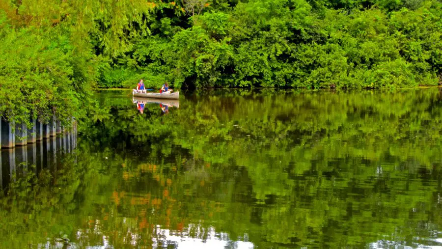 Kayaking in Michigan