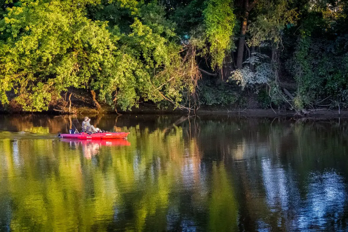 Kayaking In Michigan Top 20 Launch Spots Mapped • Kayaking Near Me