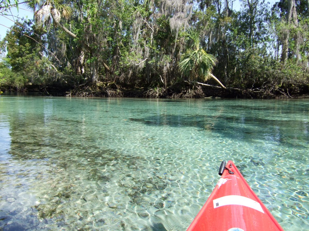 River For Kayaking Near Me - Kayak Explorer