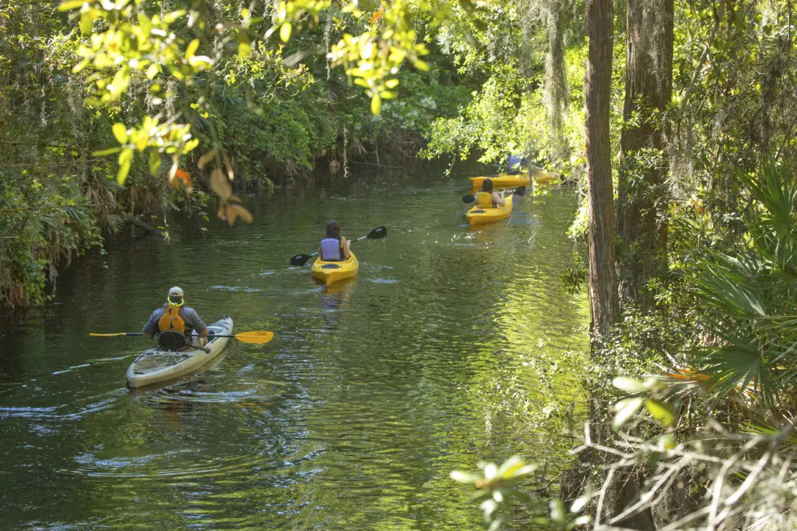 5 Best Places to Go Kayaking in Orlando