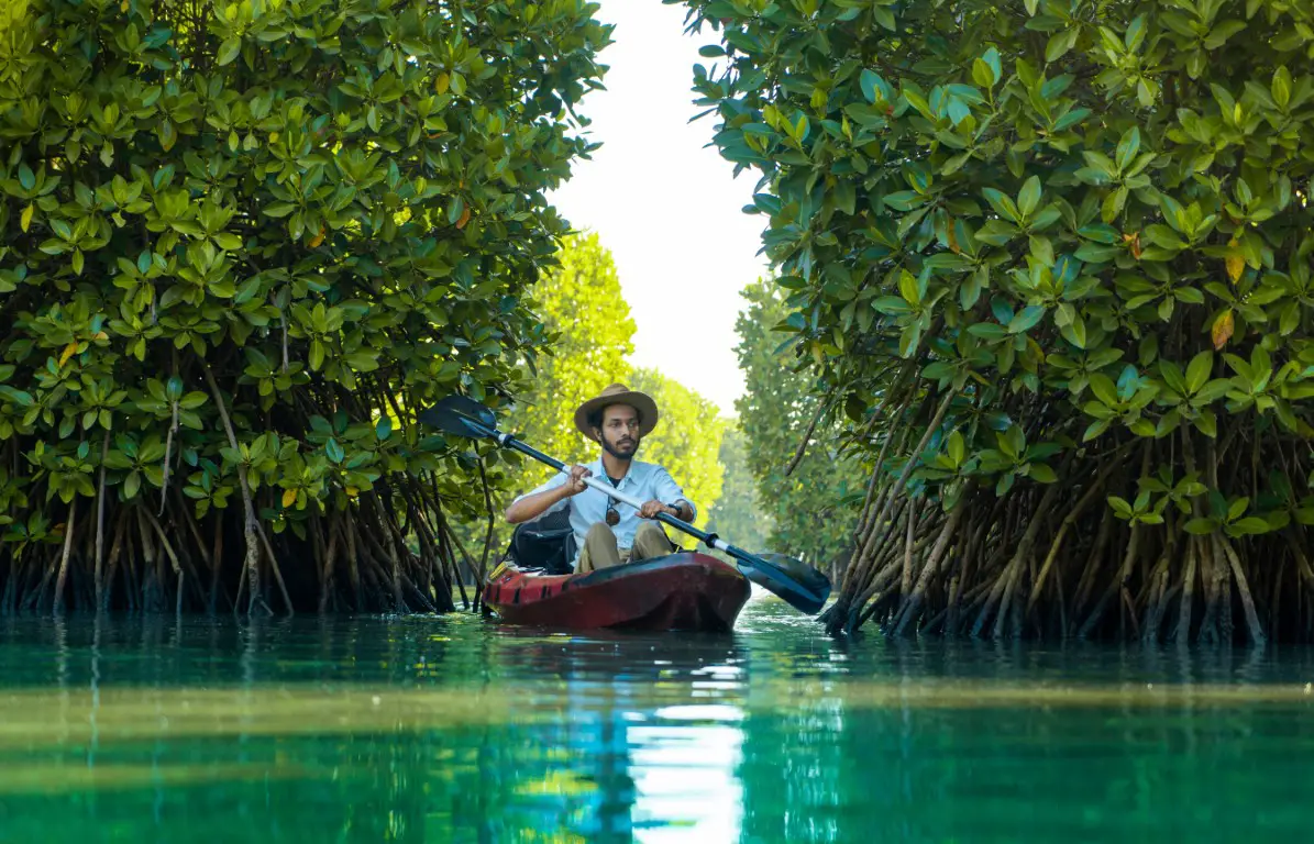 8 Best Places to Go Mangrove Kayaking in the Florida Keys
