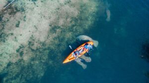 15 Best Kayaking Spots in Florida